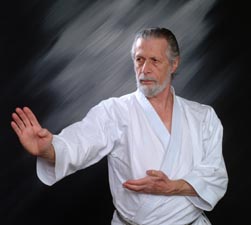 Shotokan Karate Fusaro 